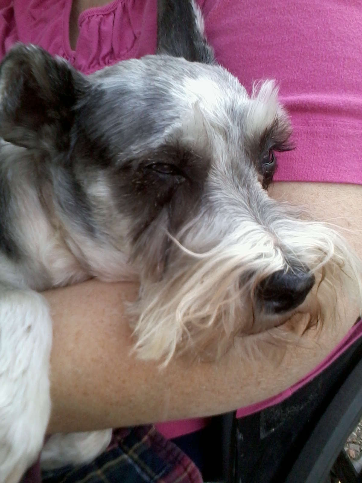 Sadie
